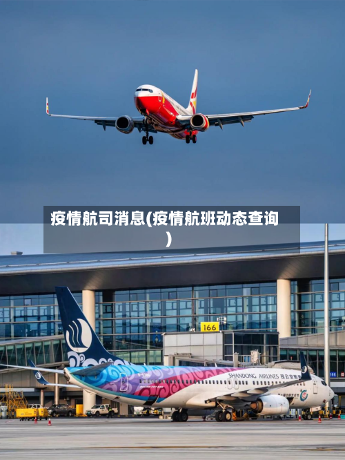 疫情航司消息(疫情航班动态查询)