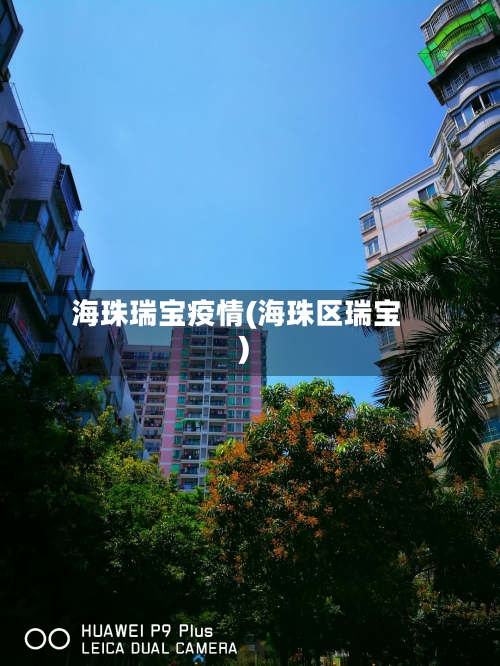 海珠瑞宝疫情(海珠区瑞宝)-第2张图片