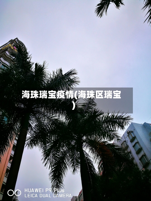 海珠瑞宝疫情(海珠区瑞宝)-第3张图片