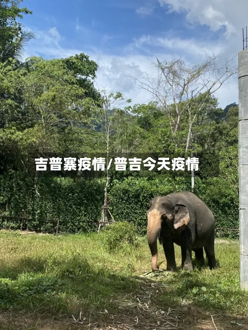 吉普寨疫情/普吉今天疫情-第2张图片