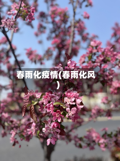 春雨化疫情(春雨化风)