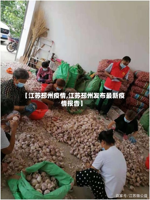 【江苏邳州疫情,江苏邳州发布最新疫情报告】-第2张图片