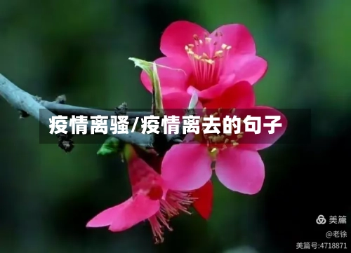 疫情离骚/疫情离去的句子