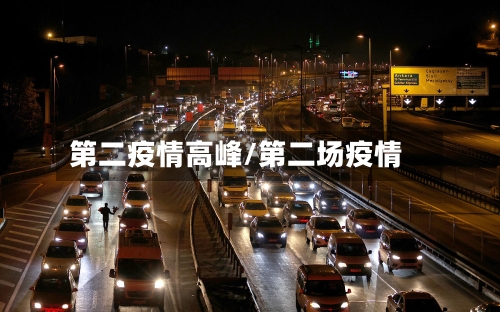 第二疫情高峰/第二场疫情-第2张图片