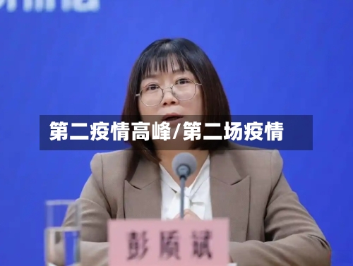 第二疫情高峰/第二场疫情