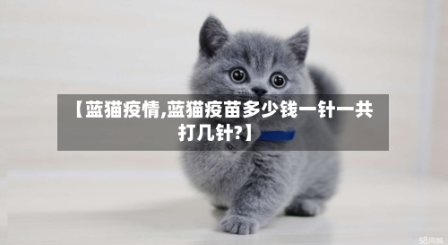 【蓝猫疫情,蓝猫疫苗多少钱一针一共打几针?】