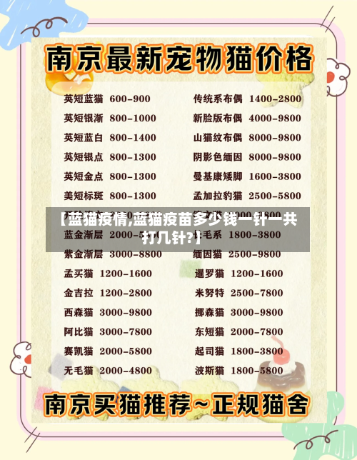 【蓝猫疫情,蓝猫疫苗多少钱一针一共打几针?】-第3张图片