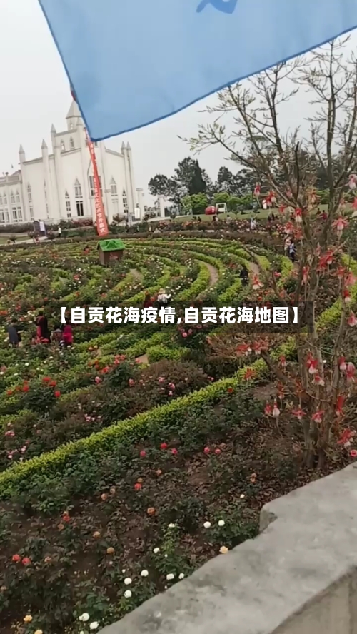 【自贡花海疫情,自贡花海地图】