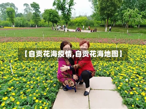 【自贡花海疫情,自贡花海地图】-第2张图片