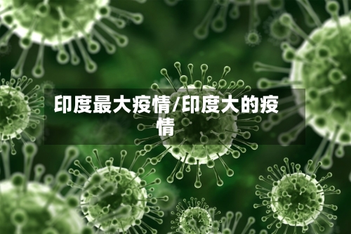 印度最大疫情/印度大的疫情