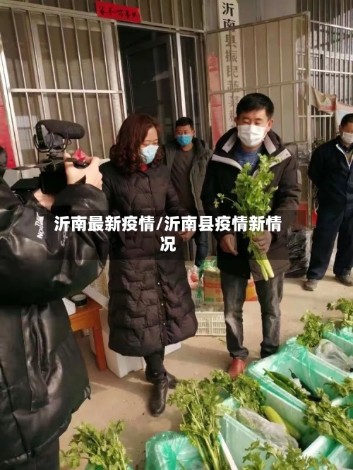 沂南最新疫情/沂南县疫情新情况