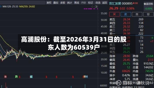 高澜股份：截至2026年3月31日的股东人数为60539户