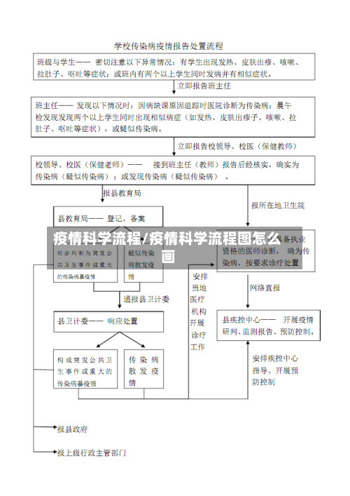 疫情科学流程/疫情科学流程图怎么画