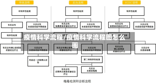 疫情科学流程/疫情科学流程图怎么画-第2张图片