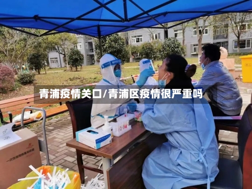 青浦疫情关口/青浦区疫情很严重吗