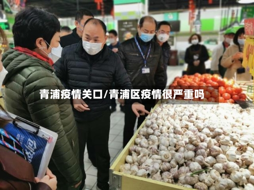 青浦疫情关口/青浦区疫情很严重吗-第3张图片