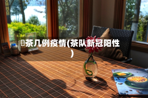 栟茶几例疫情(茶队新冠阳性)