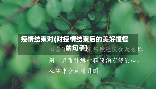疫情结束对(对疫情结束后的美好憧憬的句子)-第3张图片