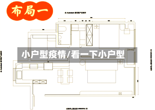 小户型疫情/看一下小户型-第3张图片