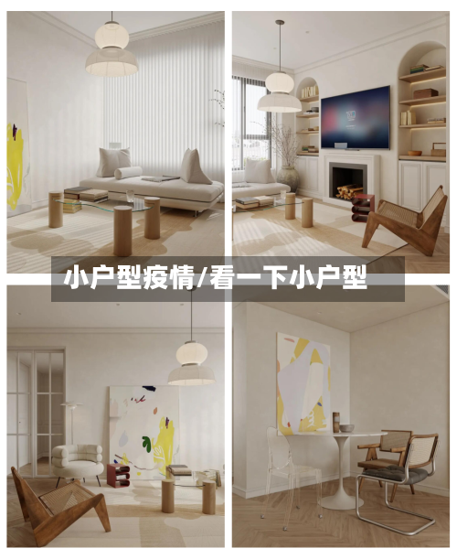 小户型疫情/看一下小户型-第2张图片