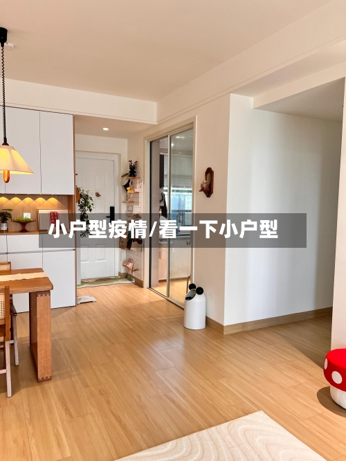 小户型疫情/看一下小户型