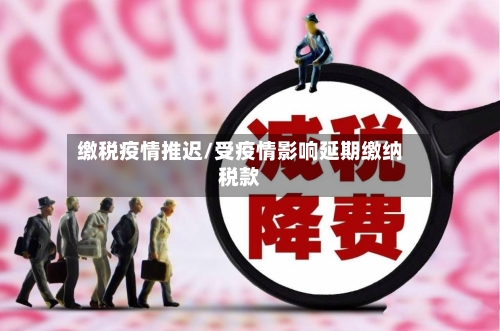 缴税疫情推迟/受疫情影响延期缴纳税款-第2张图片