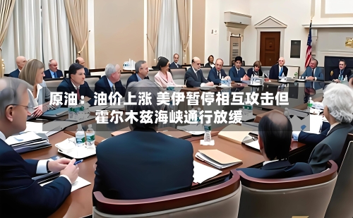 原油：油价上涨 美伊暂停相互攻击但霍尔木兹海峡通行放缓
