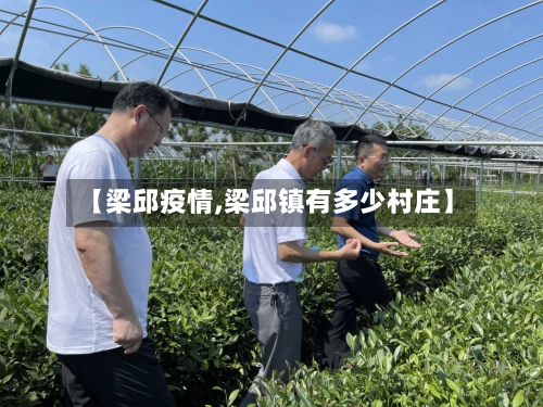【梁邱疫情,梁邱镇有多少村庄】-第2张图片