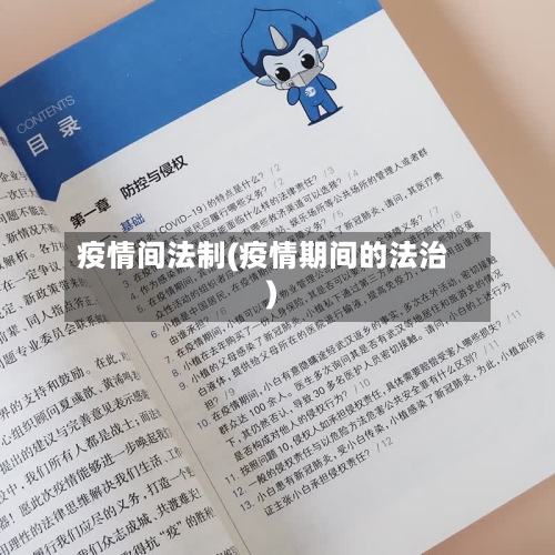 疫情间法制(疫情期间的法治)-第2张图片