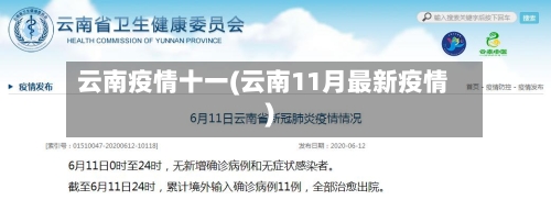 云南疫情十一(云南11月最新疫情)-第3张图片