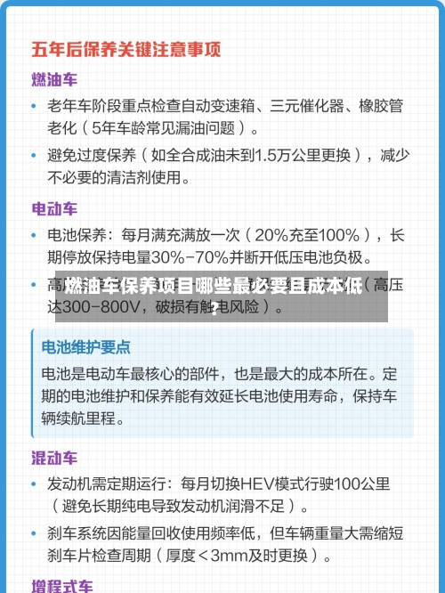 燃油车保养项目哪些最必要且成本低?-第3张图片