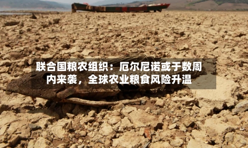 联合国粮农组织：厄尔尼诺或于数周内来袭，全球农业粮食风险升温