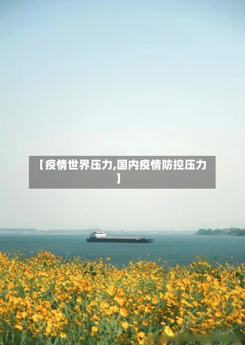 【疫情世界压力,国内疫情防控压力】