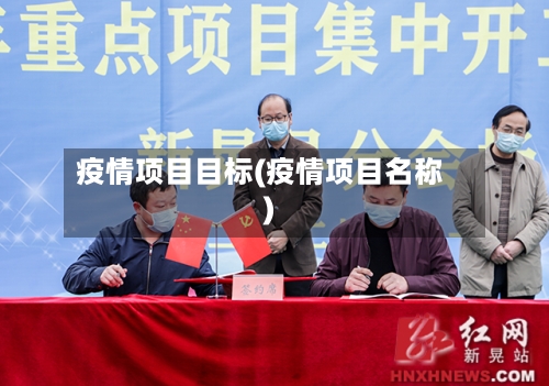 疫情项目目标(疫情项目名称)-第2张图片