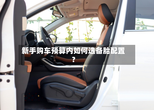 新手购车预算内如何选备胎配置?-第2张图片
