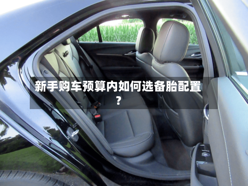 新手购车预算内如何选备胎配置?-第3张图片