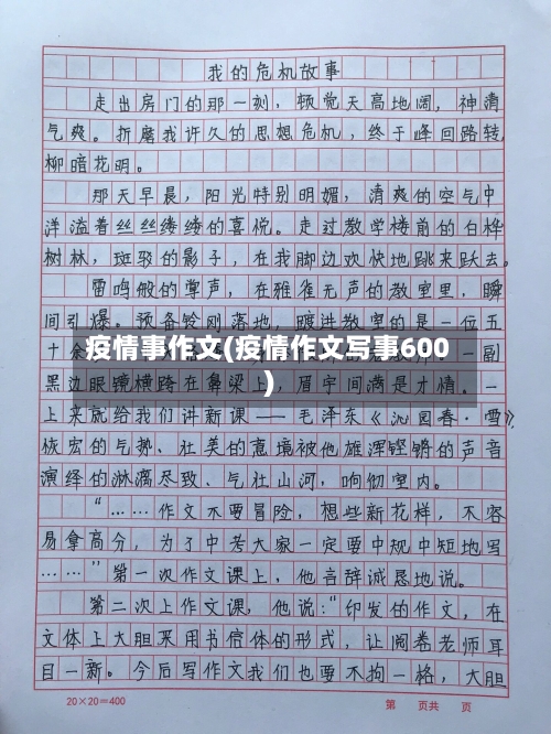 疫情事作文(疫情作文写事600)
