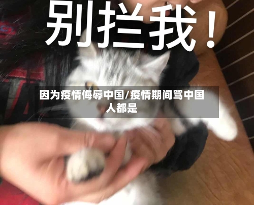 因为疫情侮辱中国/疫情期间骂中国人都是-第3张图片