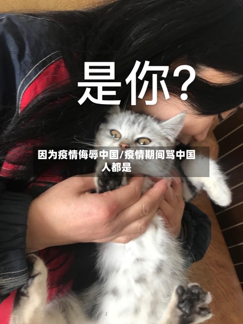 因为疫情侮辱中国/疫情期间骂中国人都是-第2张图片