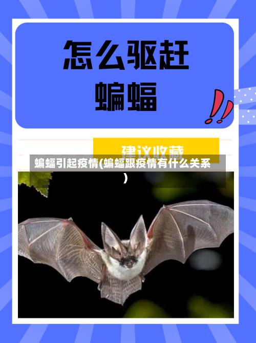 蝙蝠引起疫情(蝙蝠跟疫情有什么关系)