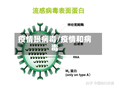 疫情跟病毒/疫情和病毒-第2张图片