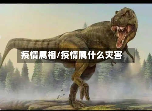 疫情属相/疫情属什么灾害