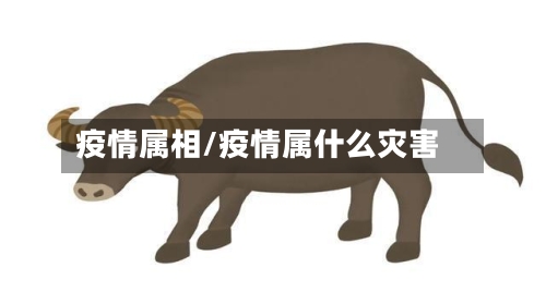 疫情属相/疫情属什么灾害-第2张图片