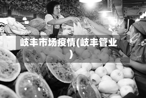 岐丰市场疫情(岐丰管业)