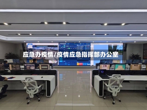 应急办疫情/疫情应急指挥部办公室