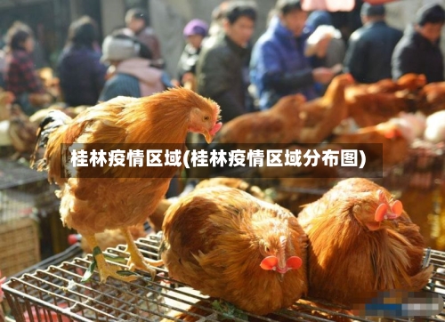 桂林疫情区域(桂林疫情区域分布图)