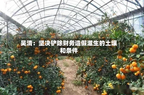 吴清:坚决铲除财务造假滋生的土壤和条件-第3张图片
