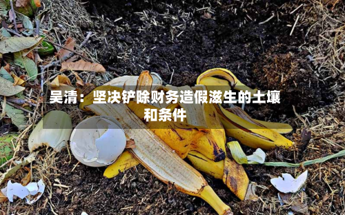 吴清：坚决铲除财务造假滋生的土壤和条件