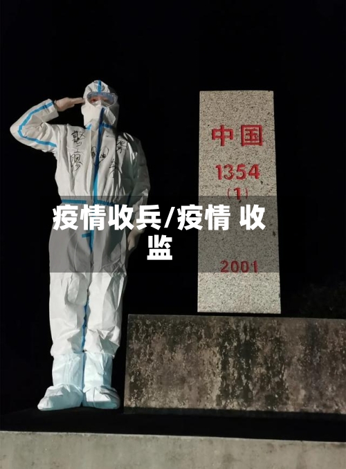 疫情收兵/疫情 收监-第3张图片