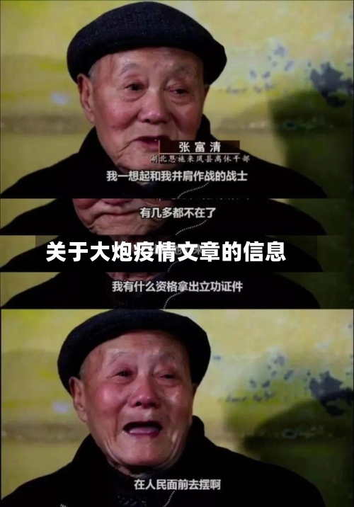 关于大炮疫情文章的信息